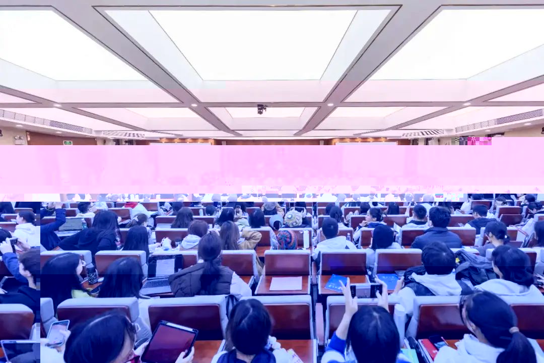 2065C