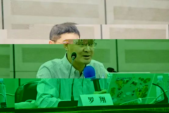 6CD5