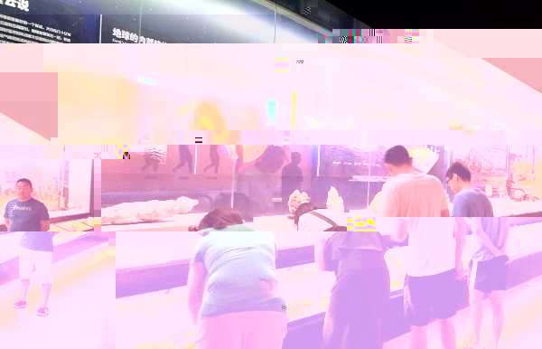 f51050e36d4a6fcc57ae7e6adde03763.jpg