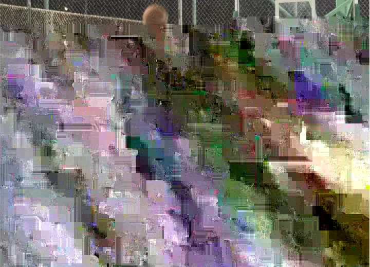 113EA